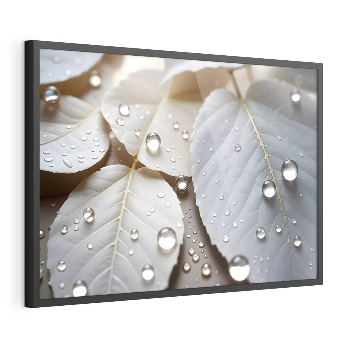Poster Tau auf Weiß f43159