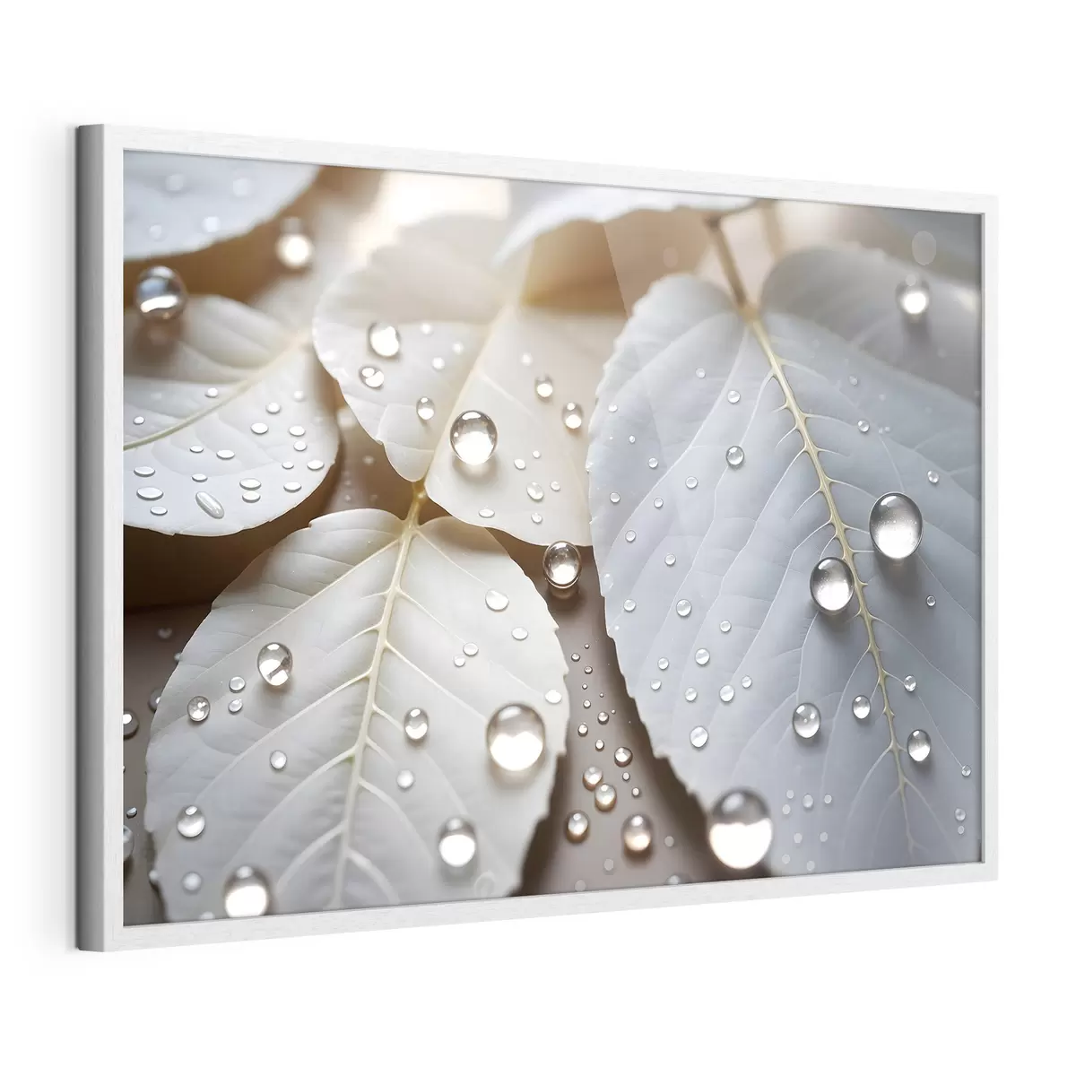 Poster Tau auf Weiß f43159