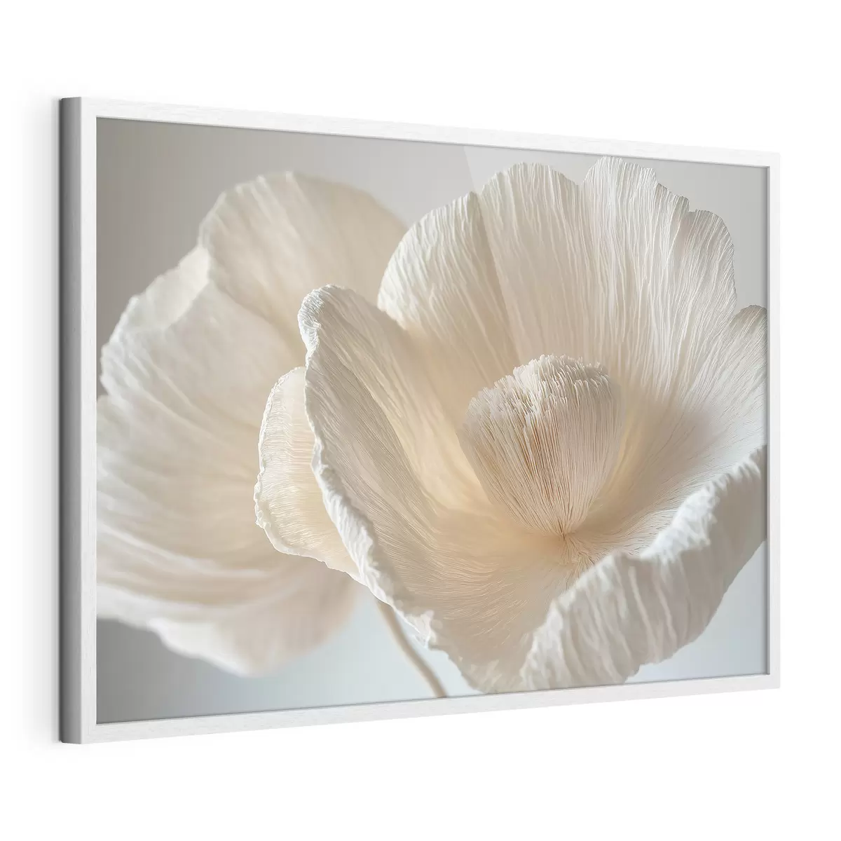 Poster Große beige Blume f43332