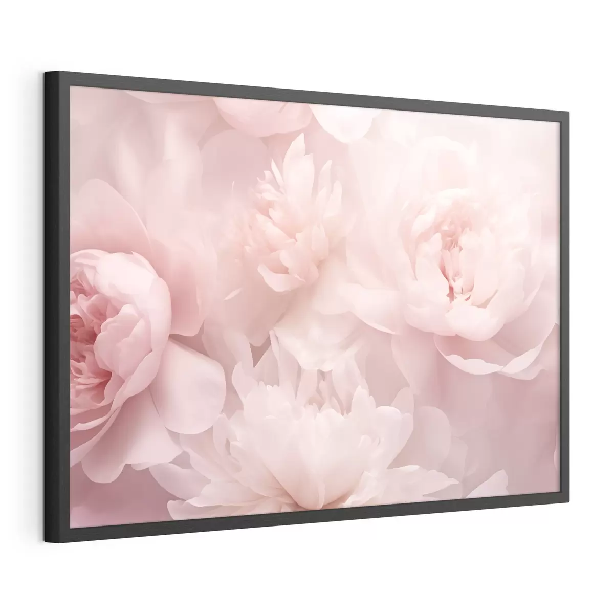 Poster Pfingstrosen f43429