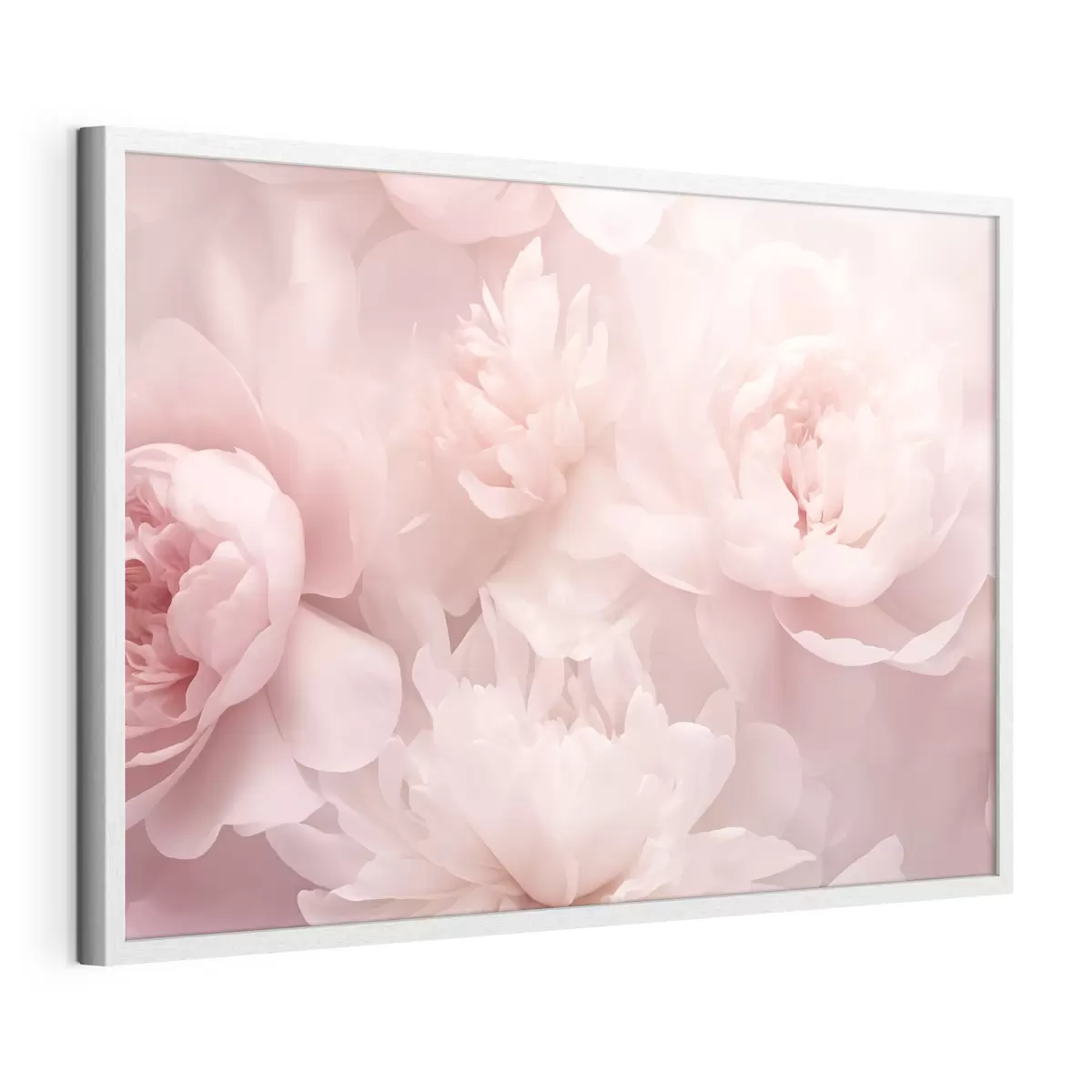 Poster Pfingstrosen f43429