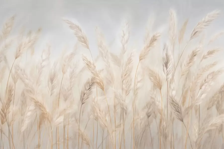 Fototapete Ährchen gegen den blauen Himmel w03530