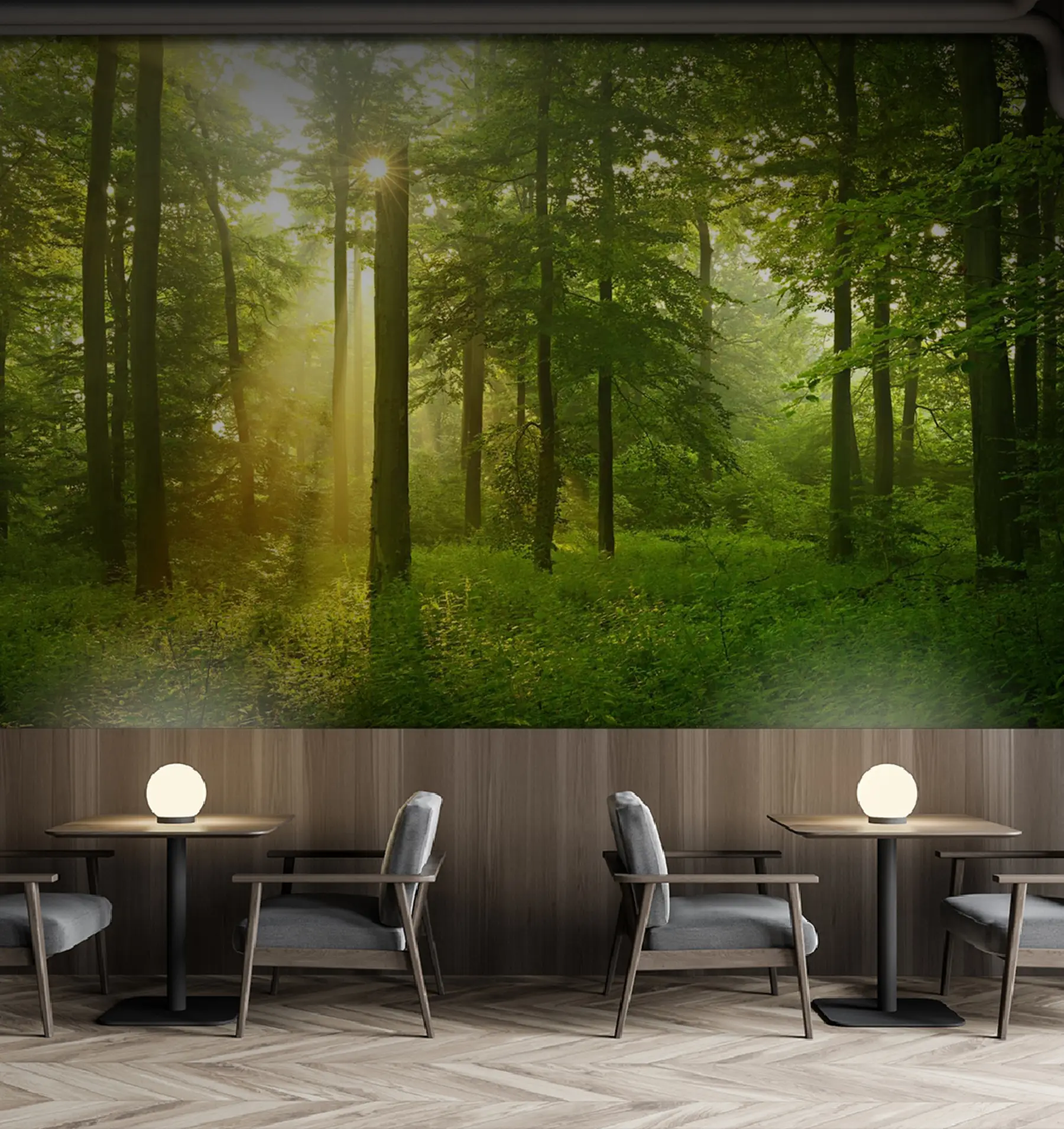 Fototapete Stille im sonnigen Wald u57295