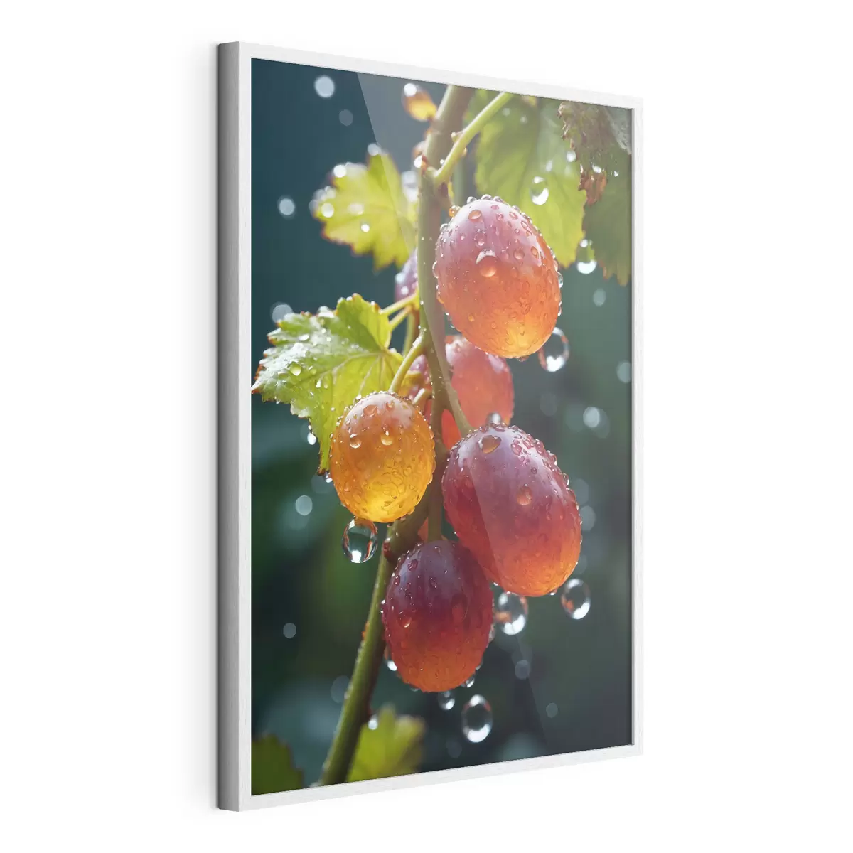 Poster Weintrauben mit Tautropfen f43872