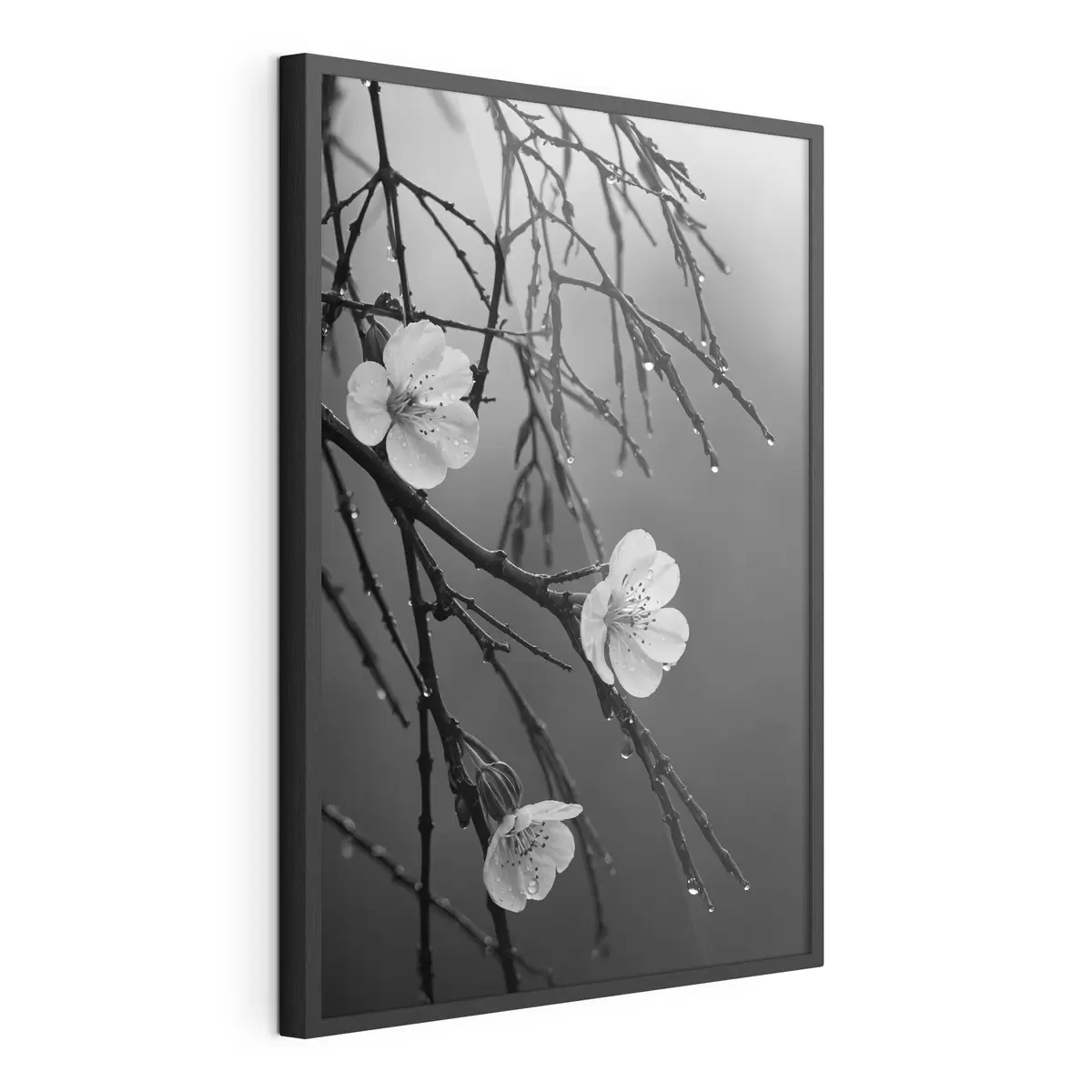 Poster Blumen auf den Zweigen nach dem Regen f44098