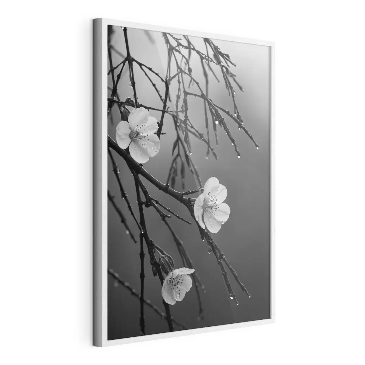 Poster Blumen auf den Zweigen nach dem Regen f44098