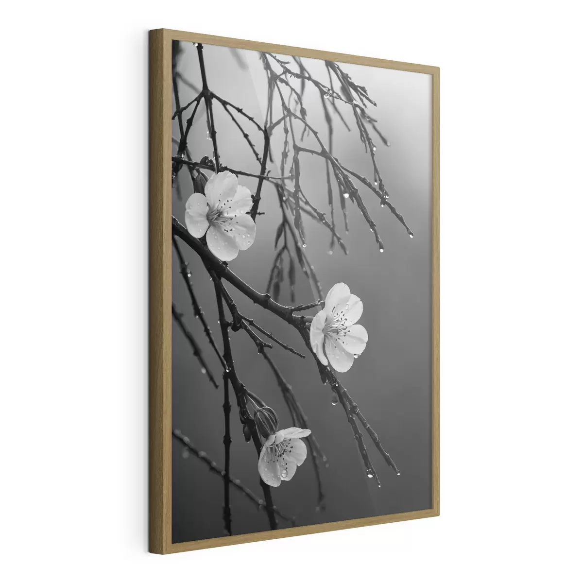 Poster Blumen auf den Zweigen nach dem Regen f44098