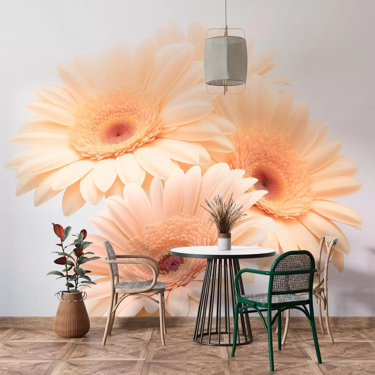 Fototapete Zarte Gerbera w03929v1