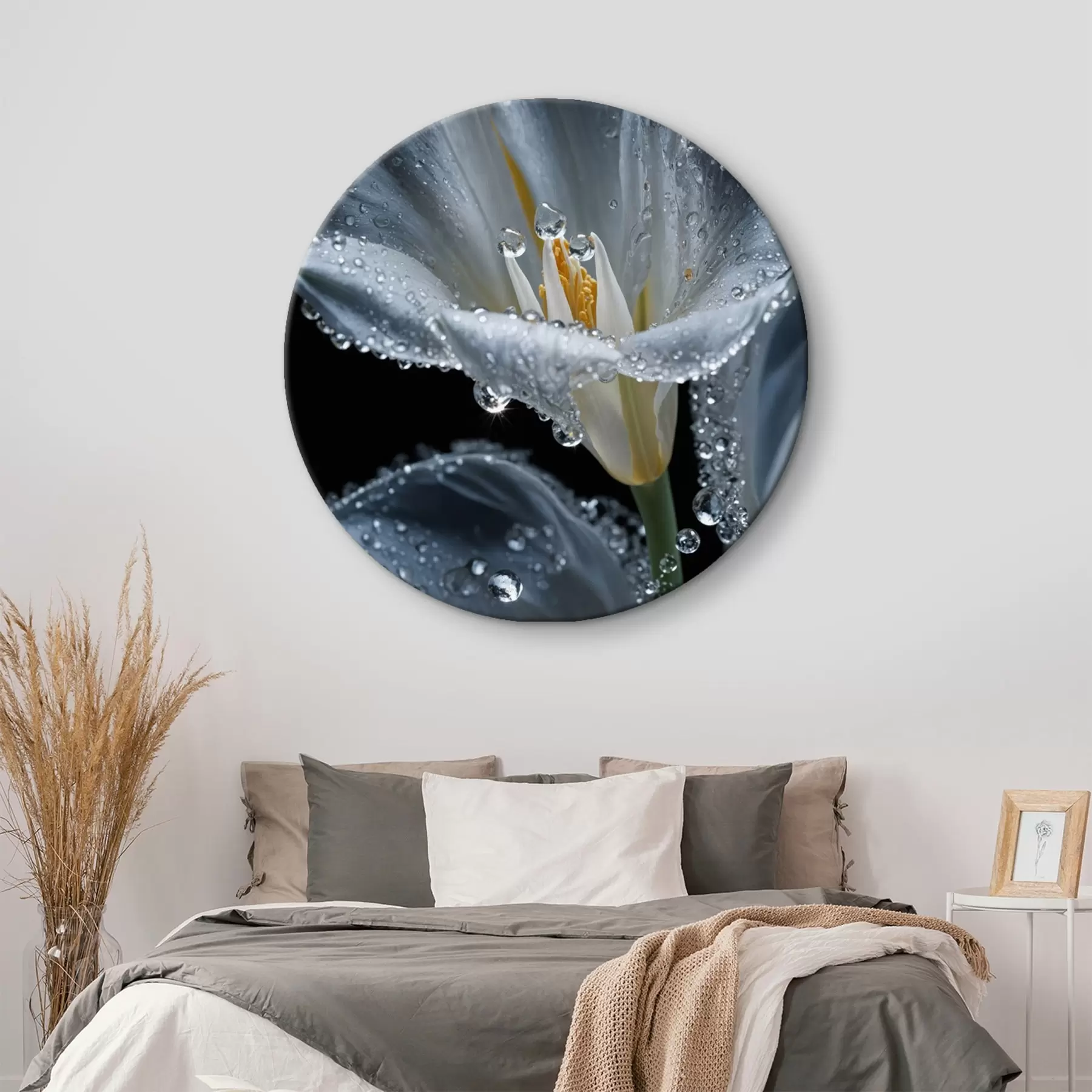 Fototapete Transparente Blume auf schwarzem Hintergrund r44479