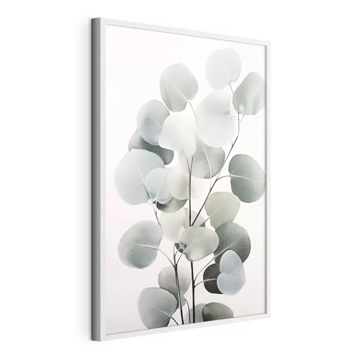 Poster Eukalyptus f44578