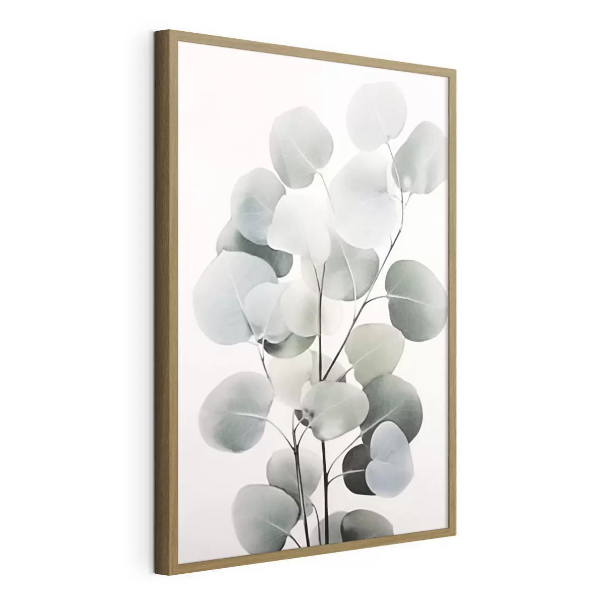 Poster Eukalyptus f44578