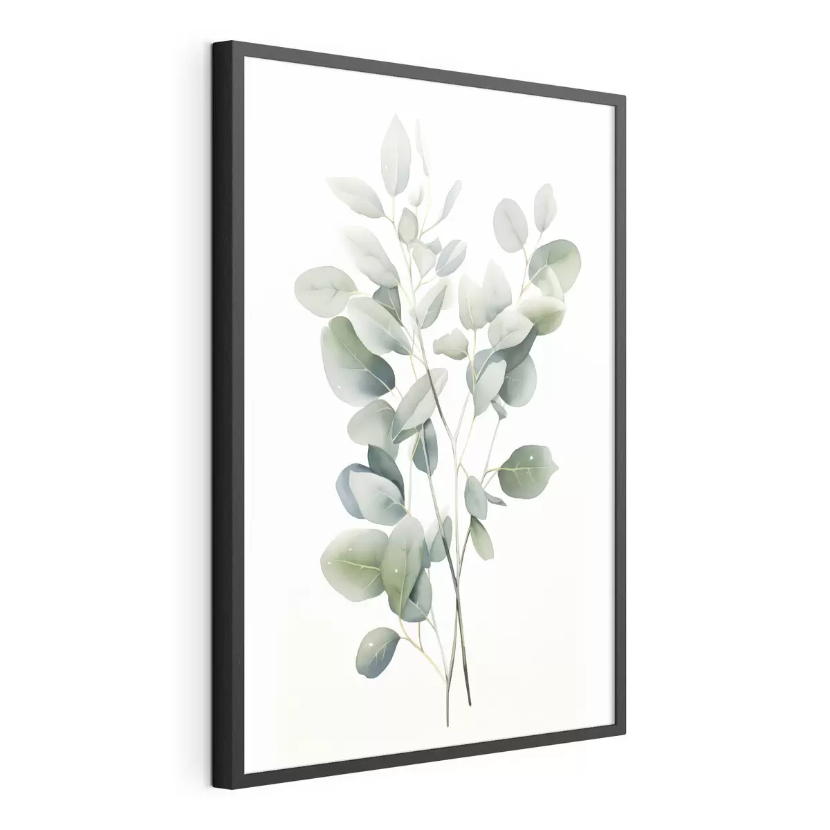 Poster Eukalyptus f44676