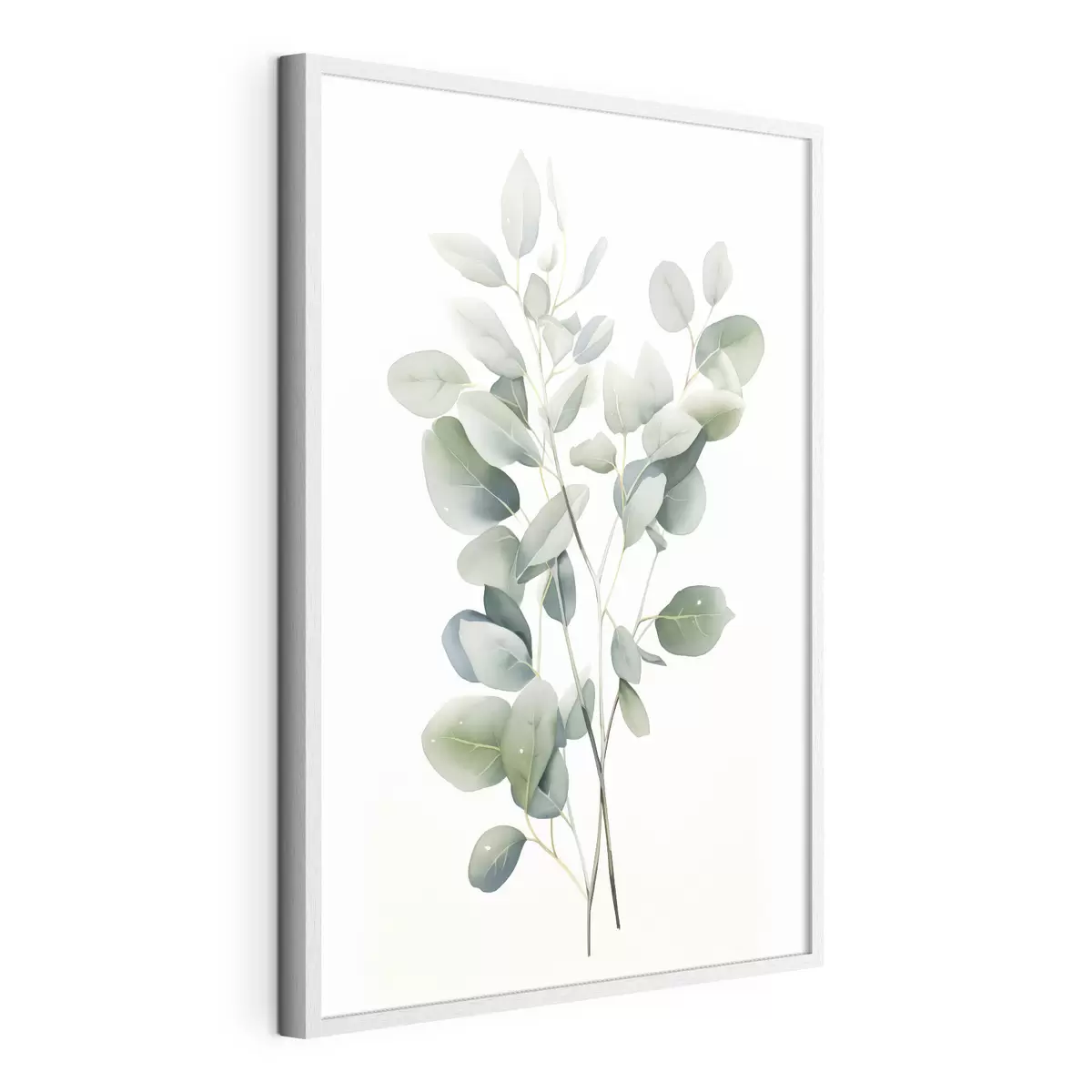 Poster Eukalyptus f44676