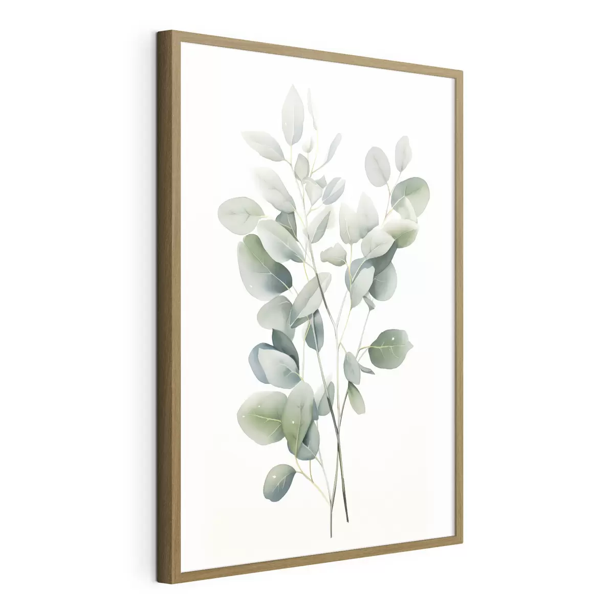 Poster Eukalyptus f44676
