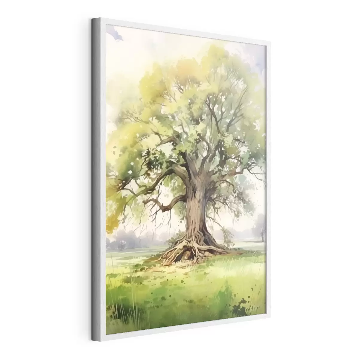 Poster Ein alter Baum mit ausladenden Wurzeln f44731