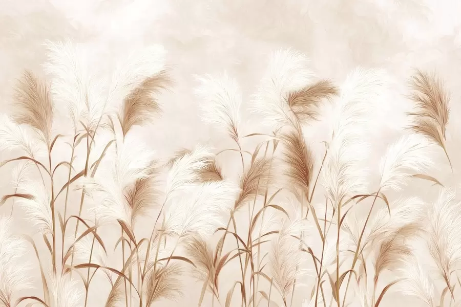 Fototapete Elegante Pampasgrasblüten in zarten Beige- und Milchtönen w09150v1