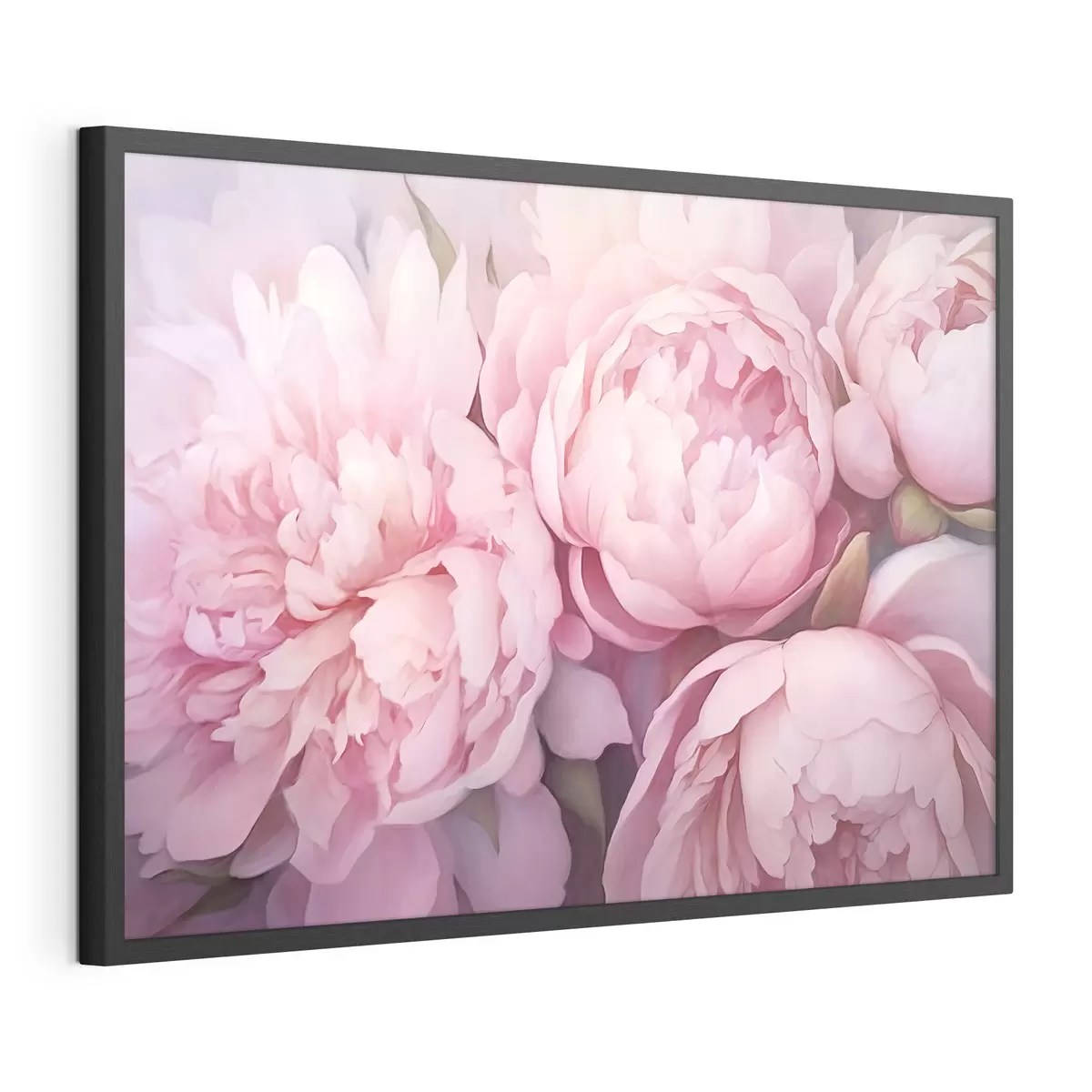 Poster Rosa Pfingstrosen f44908