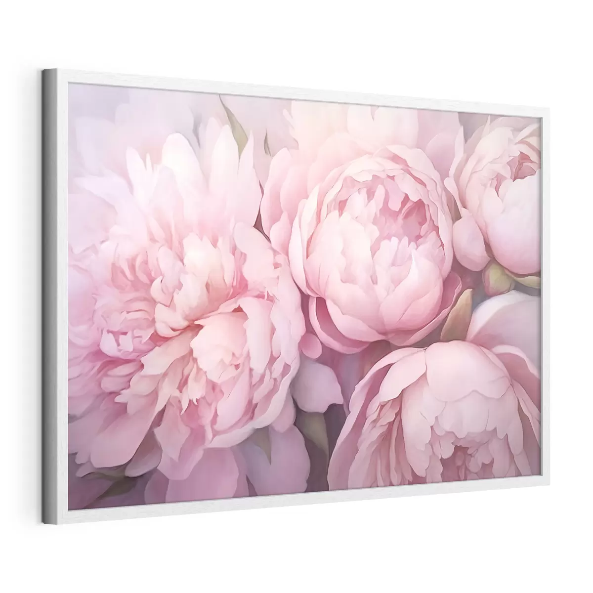 Poster Rosa Pfingstrosen f44908
