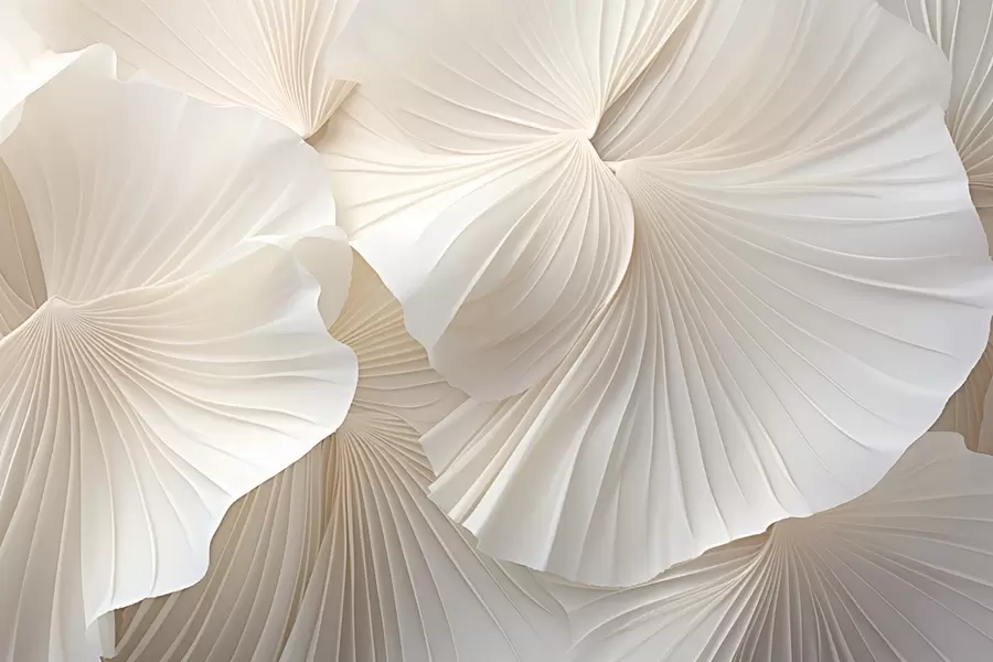 Fototapete blütenblätter, Blumen, weiß, cremefarben, Textur, Zartheit, dekorativ w04216