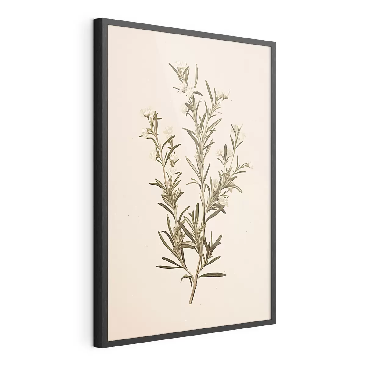 Poster botanisch, Zweig, beige Hintergrund, Kraut, minimal, Pflanze, grüne Blätter, Stamm f45098