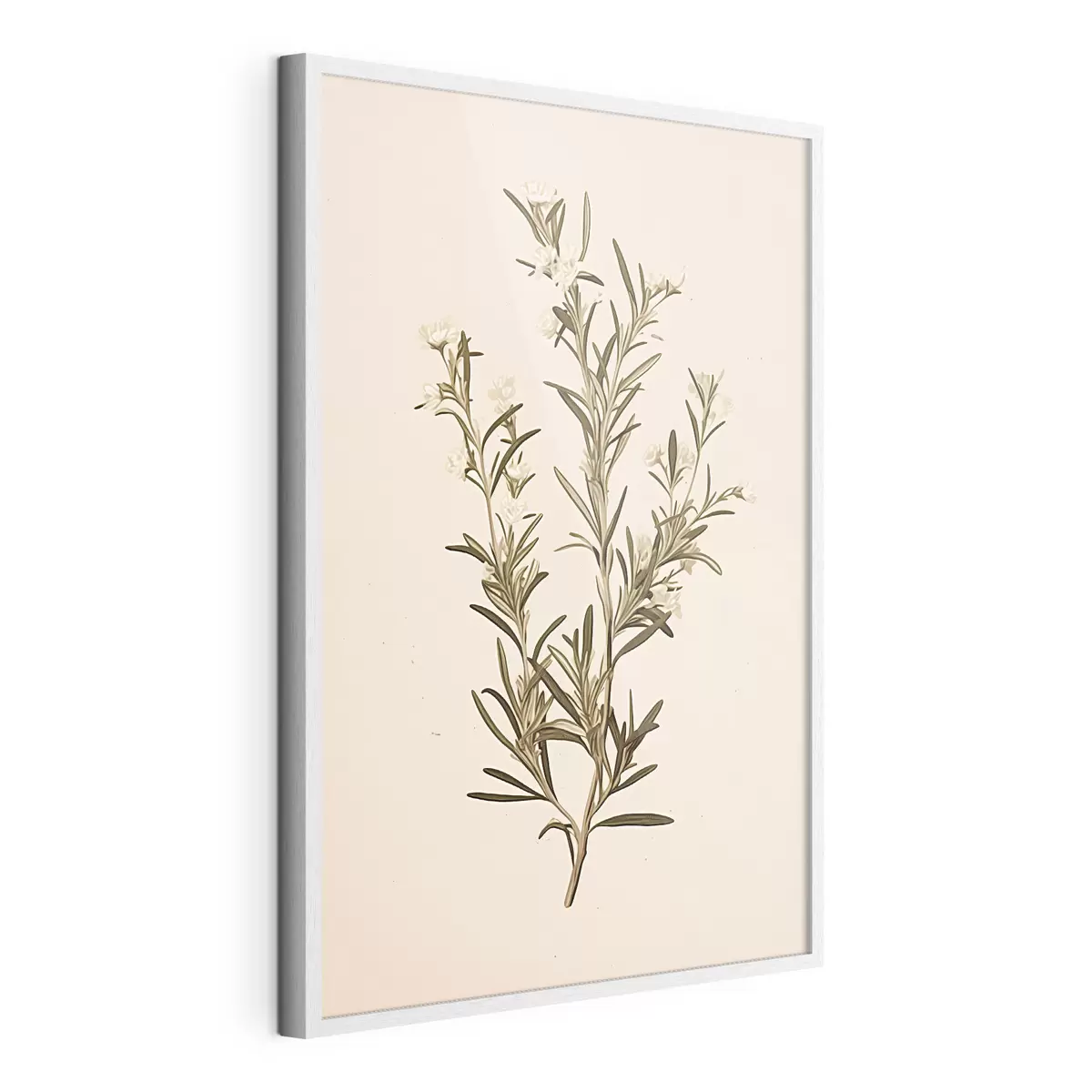 Poster botanisch, Zweig, beige Hintergrund, Kraut, minimal, Pflanze, grüne Blätter, Stamm f45098