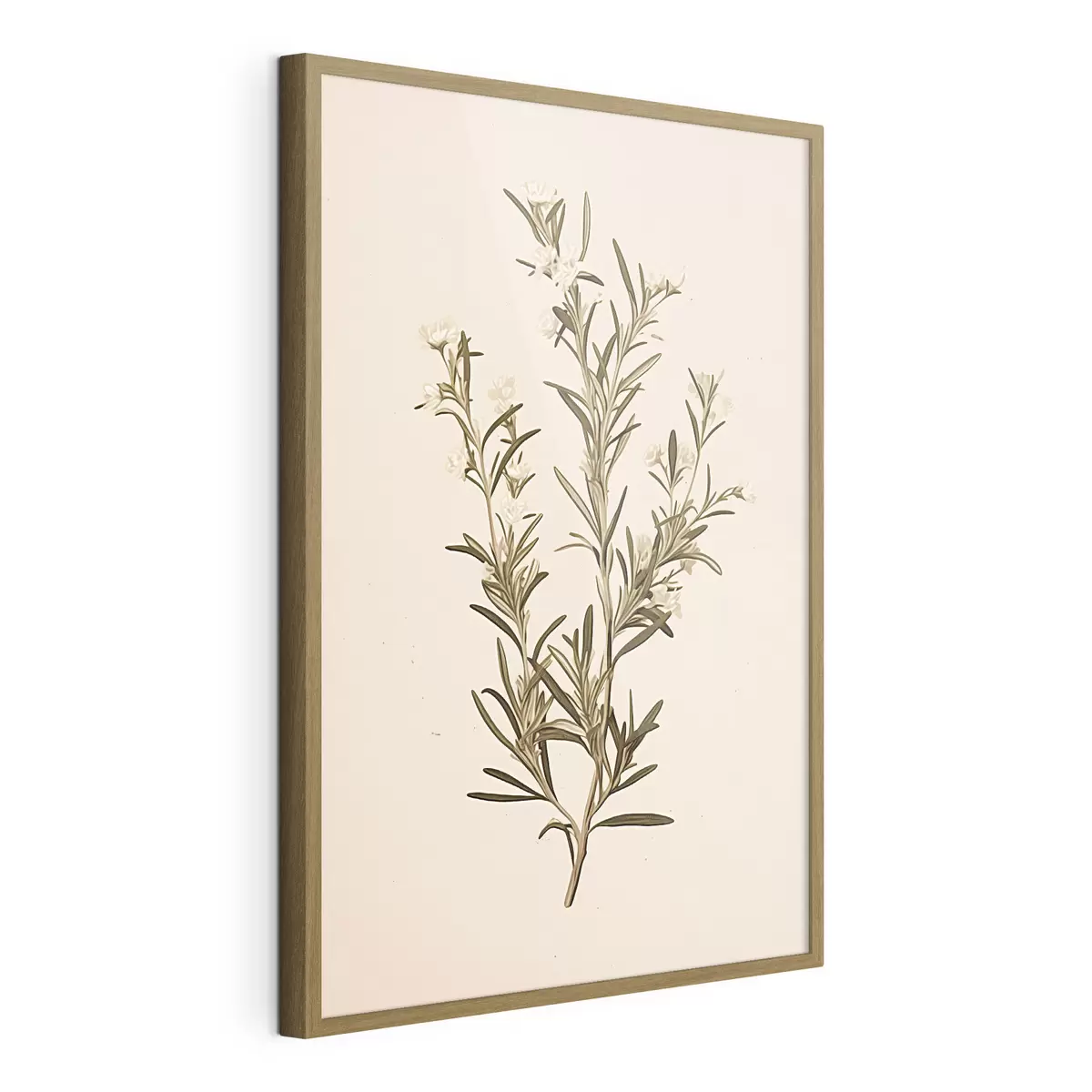 Poster botanisch, Zweig, beige Hintergrund, Kraut, minimal, Pflanze, grüne Blätter, Stamm f45098