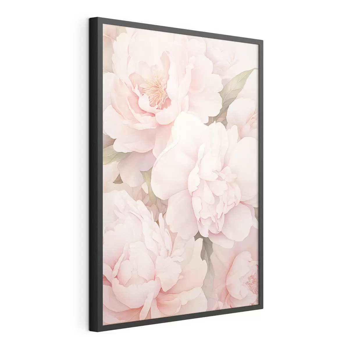 Poster Pfingstrosen in verschiedenen Farben f45294