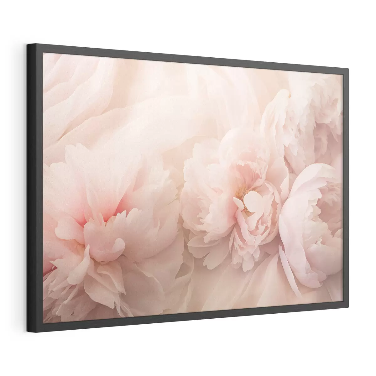 Poster Pfingstrosen in rosa Farben f45296