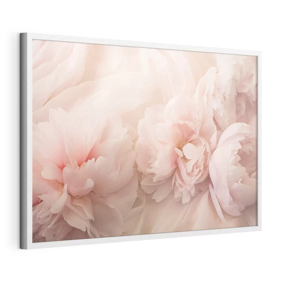 Poster Pfingstrosen in rosa Farben f45296