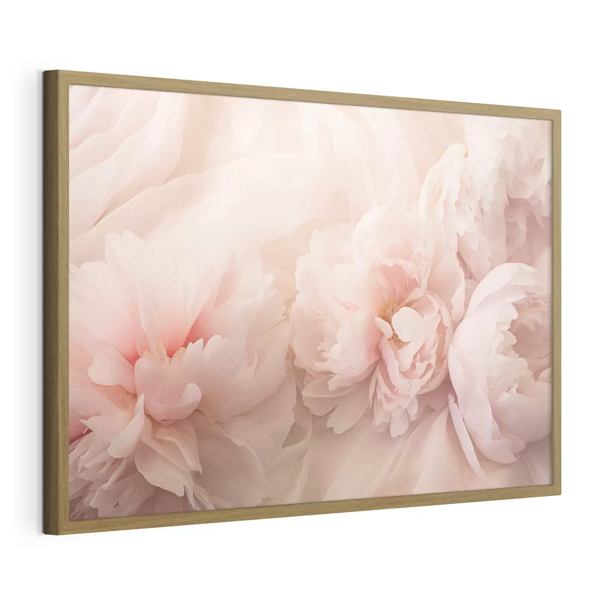 Poster Pfingstrosen in rosa Farben f45296