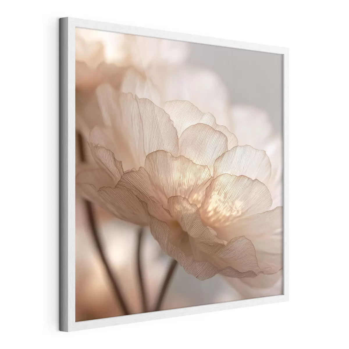 Poster Zarte Blume in hellem Glanz f45822