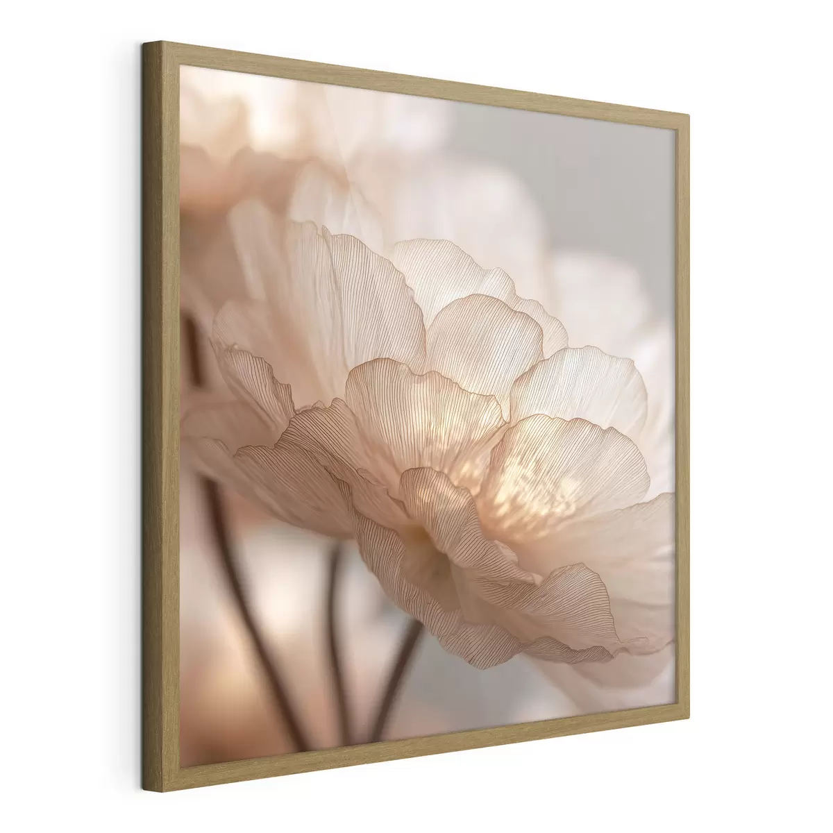 Poster Zarte Blume in hellem Glanz f45822