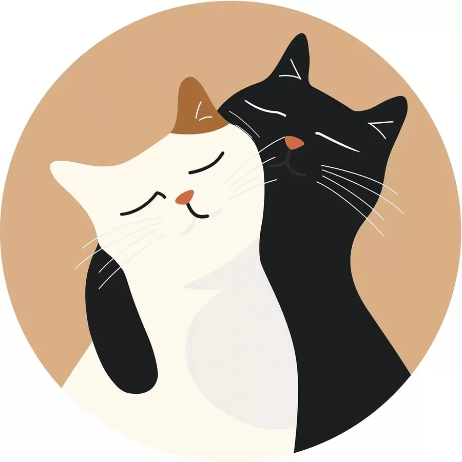 Fototapete Katzen-Duo r46043