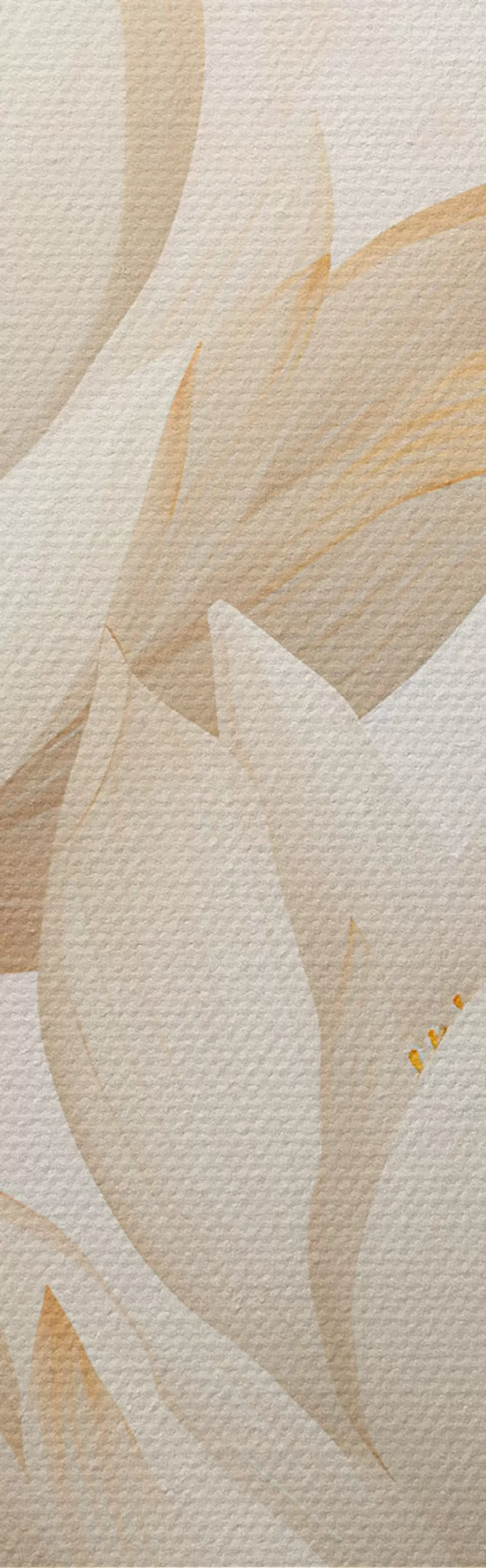 Fototapete Wunderschöne Lotusblumen m00861