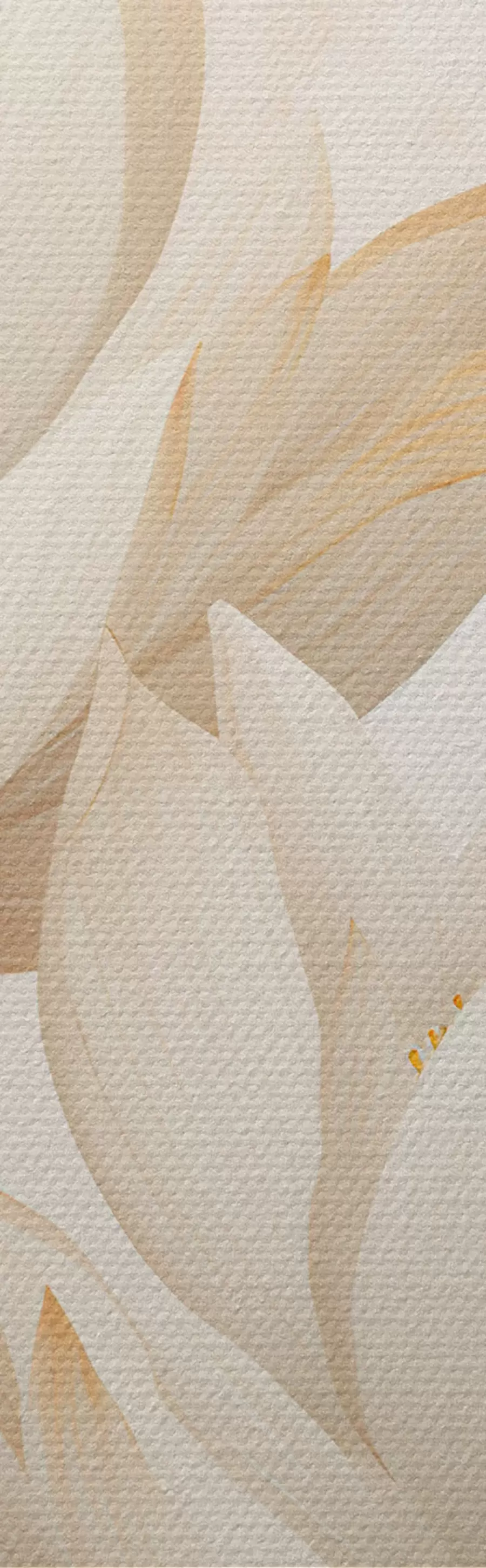 Fototapete Wunderschöne Lotusblumen m00861