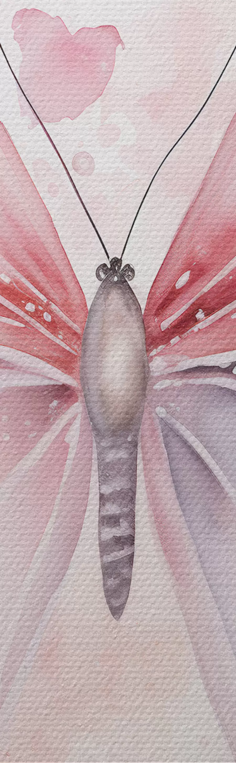 Fototapete Verschiedene rosa Schmetterlinge m00864