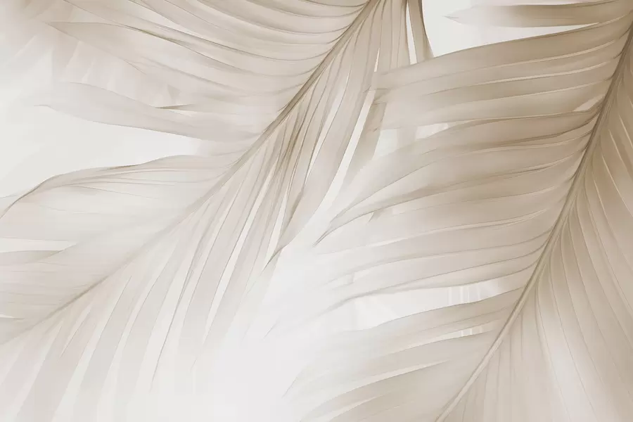 Fototapete Farnblätter w04727