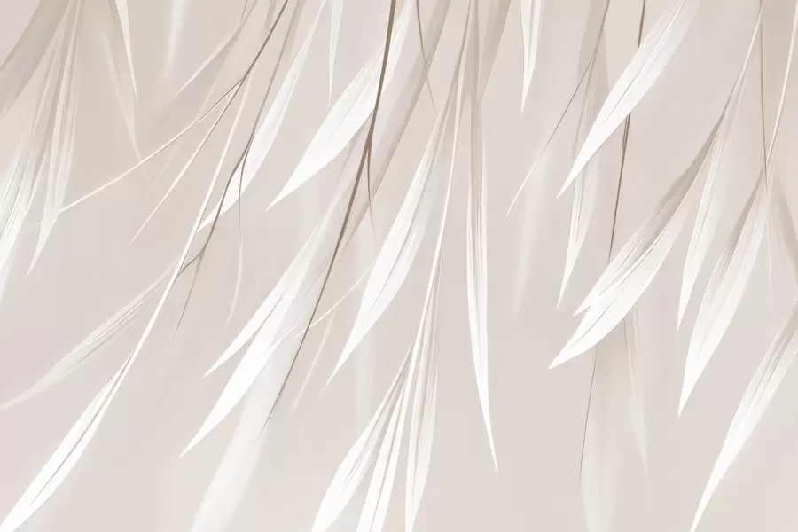 Fototapete Hängende dünne Blätter w04703