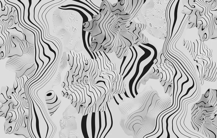 Fototapete Abstrakte organische Formen im 3D-Stil in Weiß- und Grautönen mit schwarzen Streifen w04627