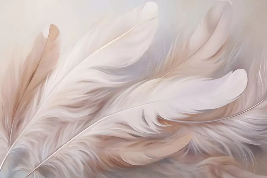 Fototapete Federn w04775