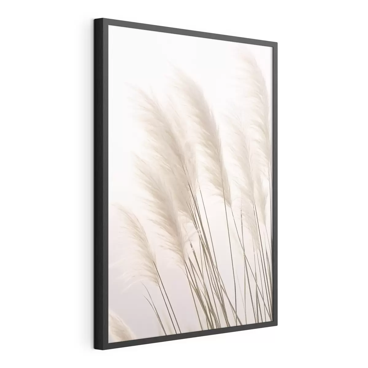 Poster Helle Gräser mit flauschigen Spitzen auf hellem Hintergrund f46179