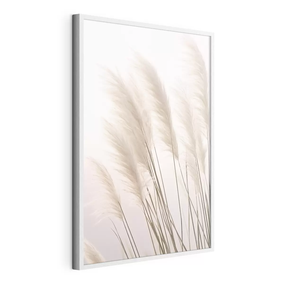 Poster Helle Gräser mit flauschigen Spitzen auf hellem Hintergrund f46179