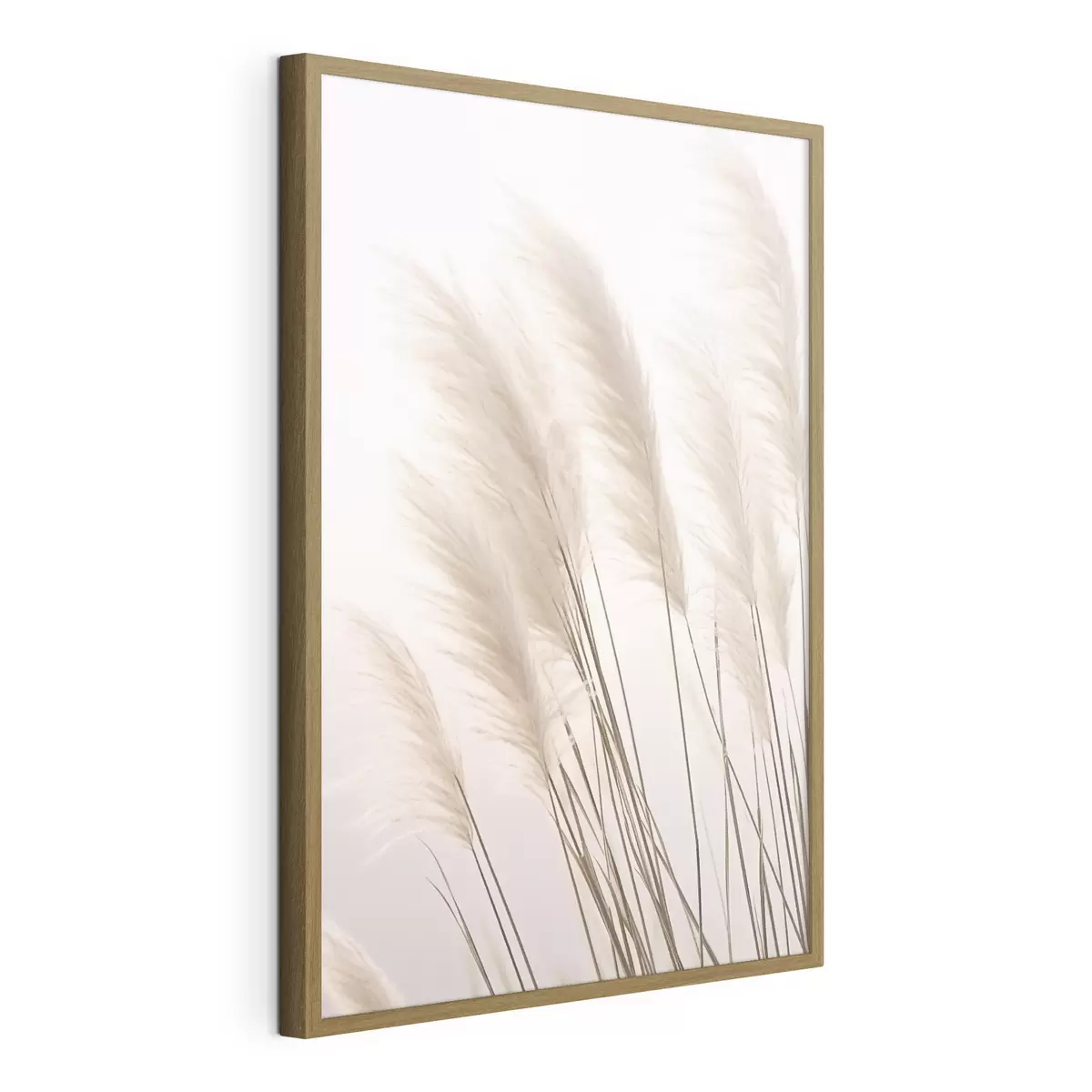 Poster Helle Gräser mit flauschigen Spitzen auf hellem Hintergrund f46179