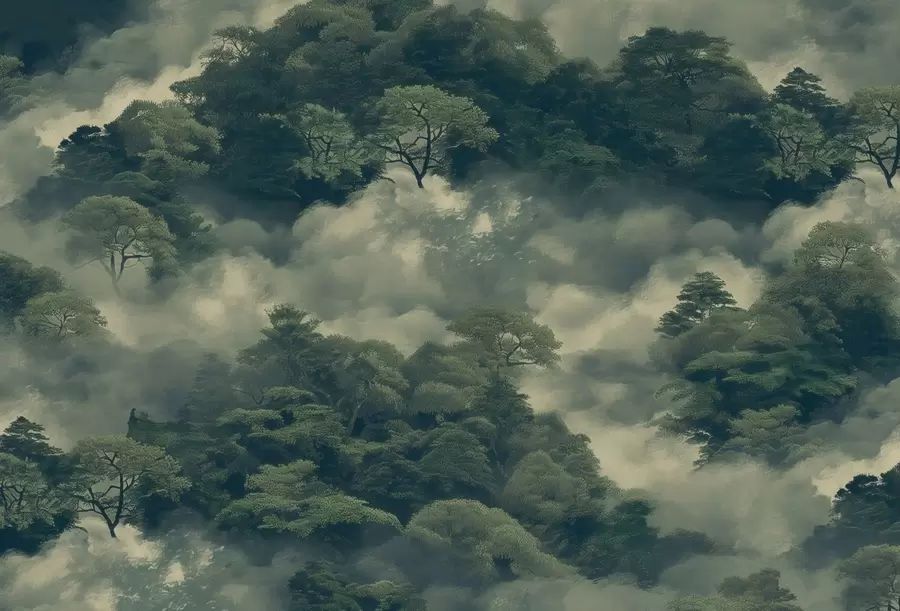 Fototapete Bäume w04801