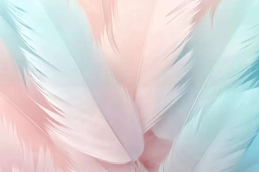 Fototapete Federn w04808