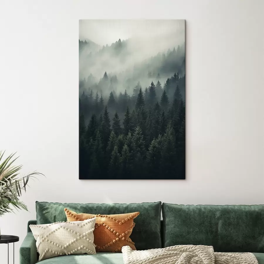 Fototapete Nebel zieht über dichten immergrünen Wald hinweg s46512