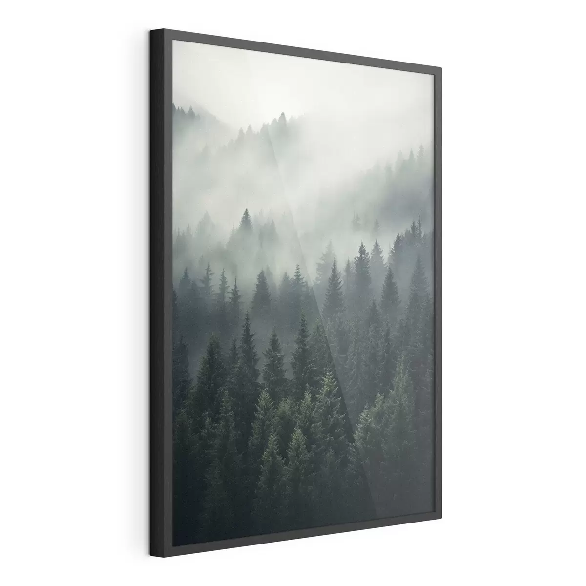 Poster Nebel zieht über dichten immergrünen Wald hinweg f46512