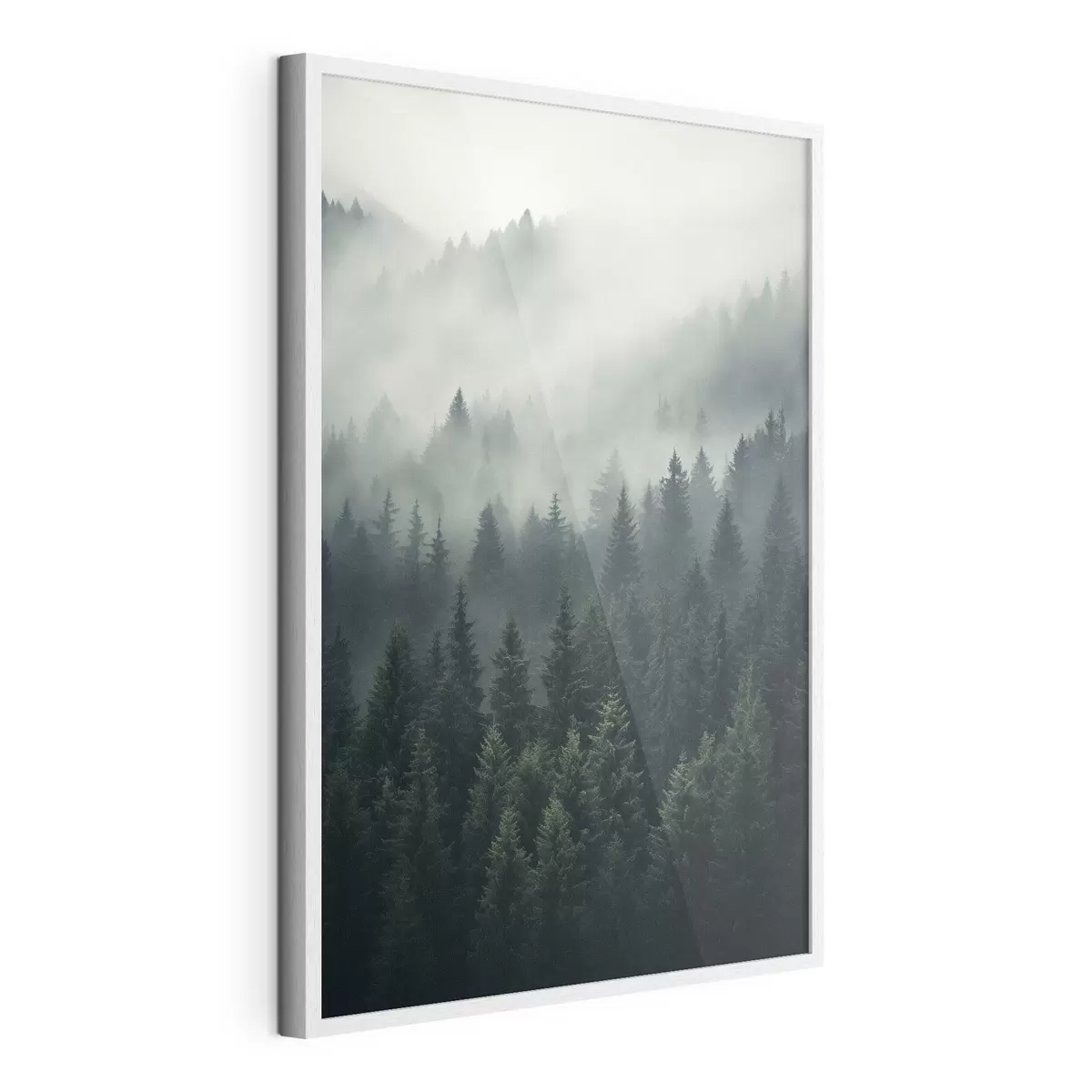 Poster Nebel zieht über dichten immergrünen Wald hinweg f46512