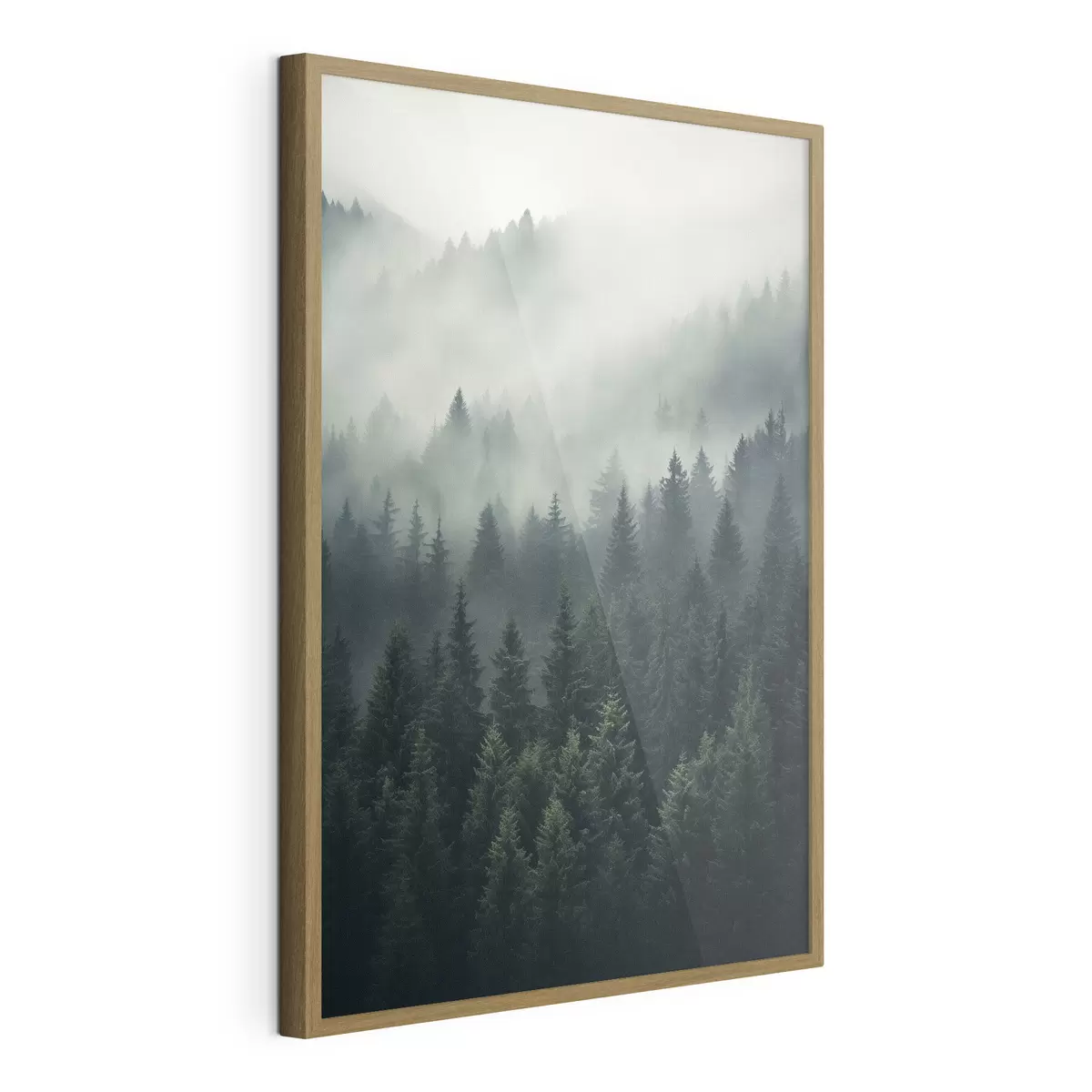 Poster Nebel zieht über dichten immergrünen Wald hinweg f46512