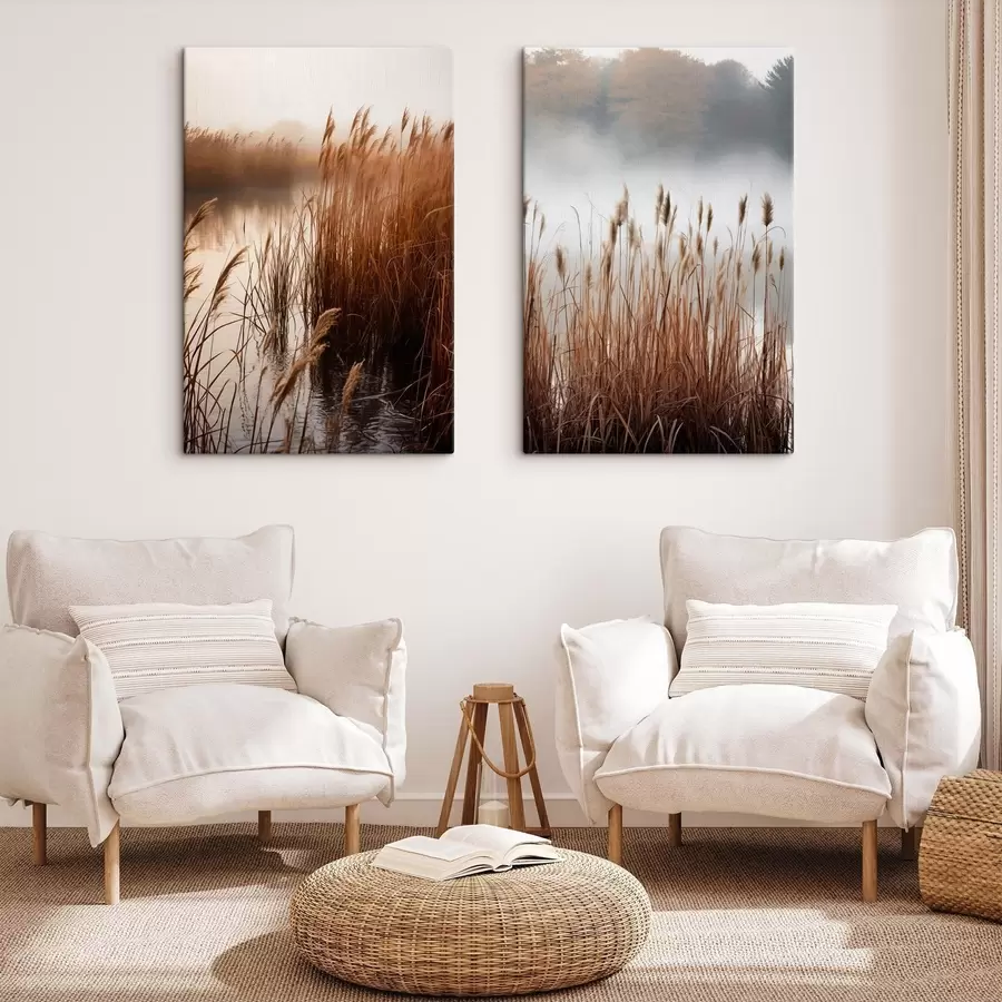 Fototapete Hohe Schilfpflanzen wachsen in einem Gewässer, das Wasser spiegelt die Schilfpflanzen wider, nebliger Hintergrund, sanftes Licht, Naturszene m01008